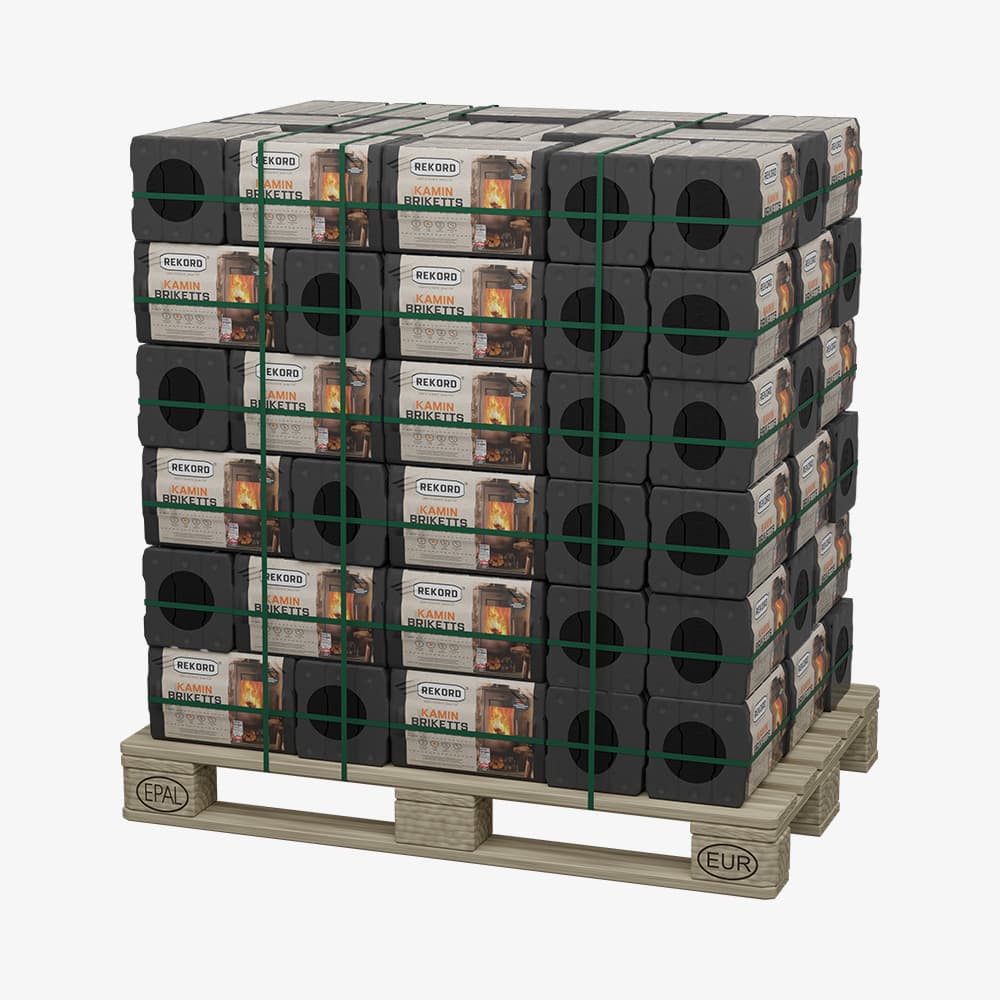 REKORD Braunkohlebriketts - Palette (90 x 10 kg)